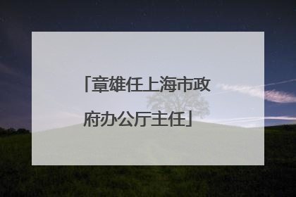 章雄任上海市政府办公厅主任