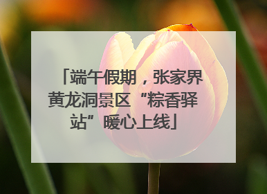 端午假期，张家界黄龙洞景区“粽香驿站”暖心上线