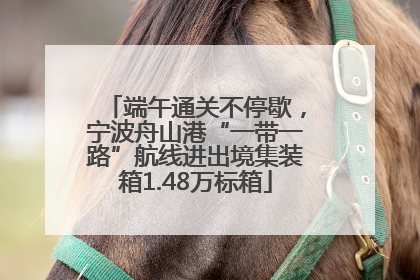 端午通关不停歇，宁波舟山港“一带一路”航线进出境集装箱1.48万标箱