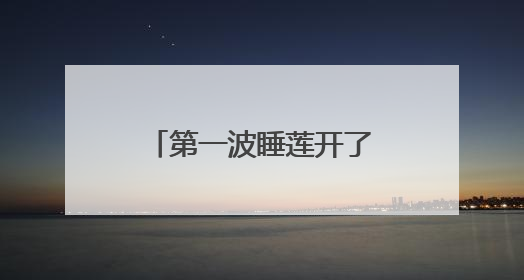 第一波睡莲开了！暑气渐浓，沪上公园打翻大自然“调色盘”