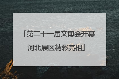 第二十一届文博会开幕 河北展区精彩亮相