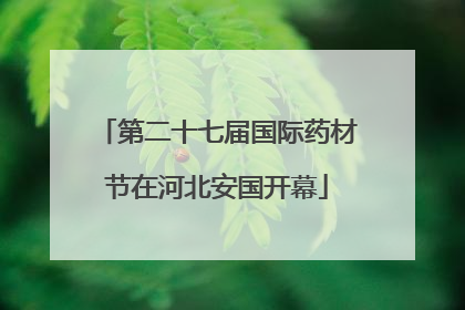 第二十七届国际药材节在河北安国开幕