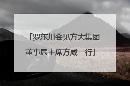 罗东川会见方大集团董事局主席方威一行