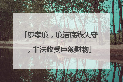 罗孝廉，廉洁底线失守，非法收受巨额财物