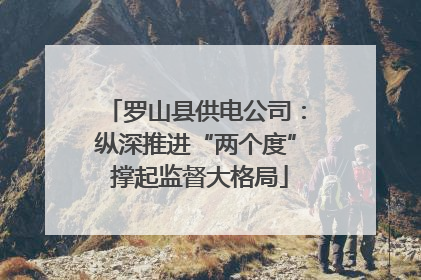 罗山县供电公司：纵深推进“两个度” 撑起监督大格局