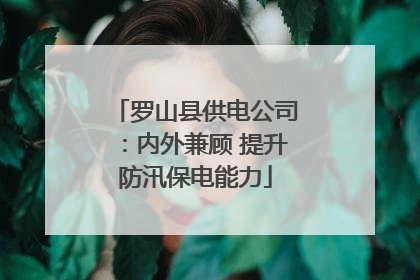 罗山县供电公司：内外兼顾 提升防汛保电能力