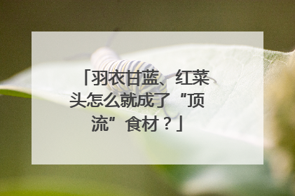 羽衣甘蓝、红菜头怎么就成了“顶流”食材？