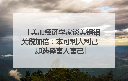 美加经济学家谈美钢铝关税加倍：本可利人利己 却选择害人害己