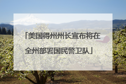 美国得州州长宣布将在全州部署国民警卫队