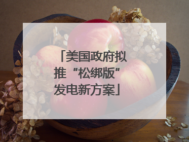 美国政府拟推“松绑版”发电新方案