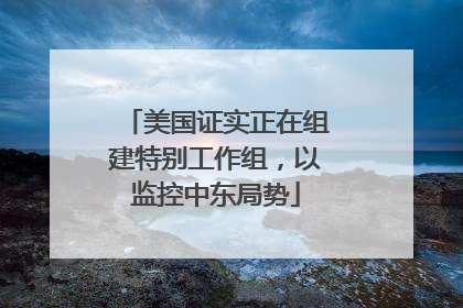 美国证实正在组建特别工作组，以监控中东局势