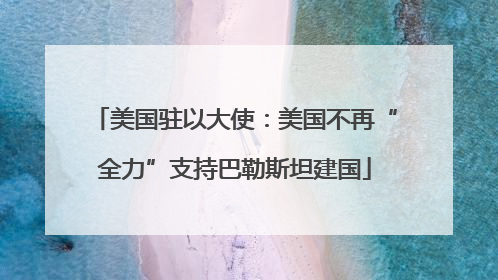 美国驻以大使：美国不再“全力”支持巴勒斯坦建国