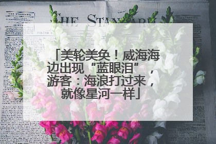 美轮美奂！威海海边出现“蓝眼泪”，游客：海浪打过来，就像星河一样