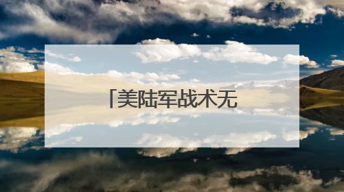 美陆军战术无人机发展受挫