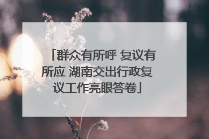 群众有所呼 复议有所应 湖南交出行政复议工作亮眼答卷
