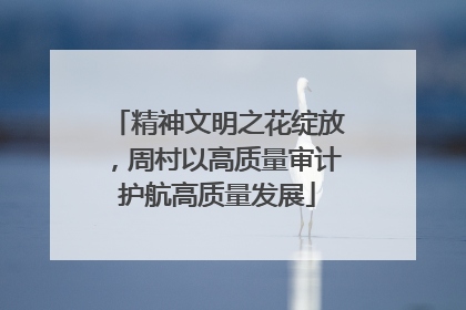 精神文明之花绽放，周村以高质量审计护航高质量发展