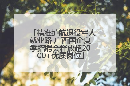 精准护航退役军人就业路 广西国企夏季招聘会释放超2000+优质岗位
