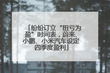 纷纷订立“扭亏为盈”时间表，蔚来、小鹏、小米汽车设定四季度盈利