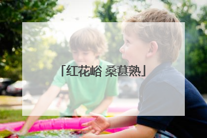 红花峪 桑葚熟