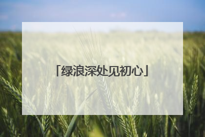 绿浪深处见初心