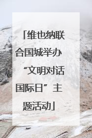维也纳联合国城举办“文明对话国际日”主题活动
