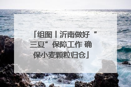 组图丨沂南做好“三夏”保障工作 确保小麦颗粒归仓