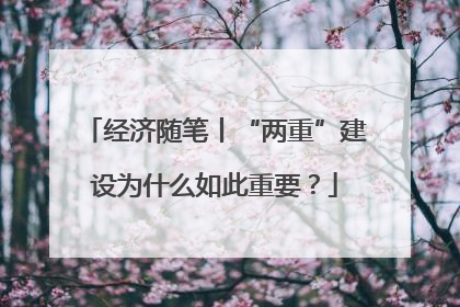 经济随笔丨“两重”建设为什么如此重要？