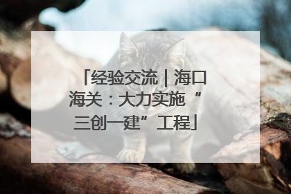 经验交流｜海口海关：大力实施“三创一建”工程