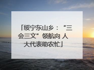 绥宁东山乡：“三会三文”领航向 人大代表助农忙