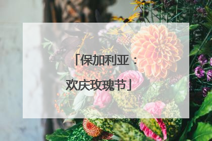 保加利亚：欢庆玫瑰节
