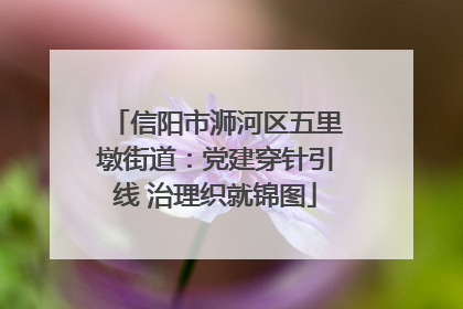 信阳市浉河区五里墩街道：党建穿针引线 治理织就锦图