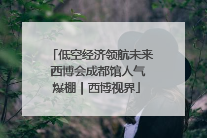 低空经济领航未来 西博会成都馆人气爆棚｜西博视界