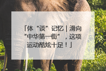 体“谈”记忆｜滑向“中华第一街”，这项运动酷炫十足！