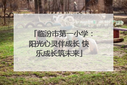 临汾市第一小学：阳光心灵伴成长 快乐成长筑未来