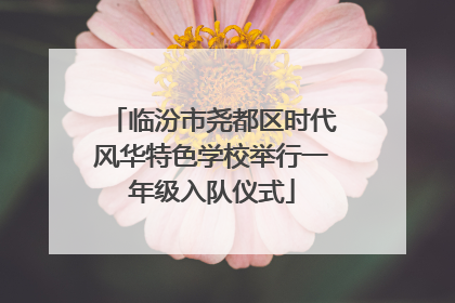 临汾市尧都区时代风华特色学校举行一年级入队仪式