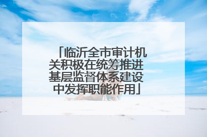 临沂全市审计机关积极在统筹推进基层监督体系建设中发挥职能作用