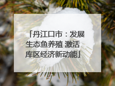 丹江口市：发展生态鱼养殖 激活库区经济新动能