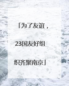 为了友谊，23国友好组织齐聚南京