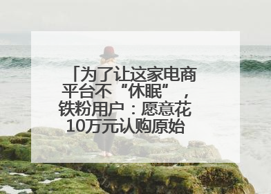 为了让这家电商平台不“休眠”，铁粉用户：愿意花10万元认购原始股“应援”
