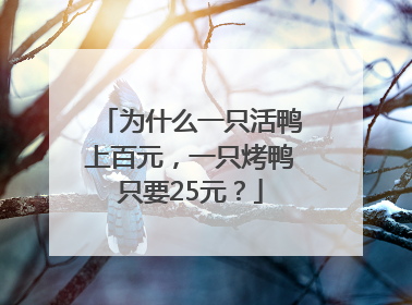 为什么一只活鸭上百元，一只烤鸭只要25元？