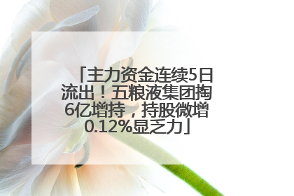 主力资金连续5日流出！五粮液集团掏6亿增持，持股微增0.12%显乏力