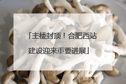 主楼封顶！合肥西站建设迎来重要进展
