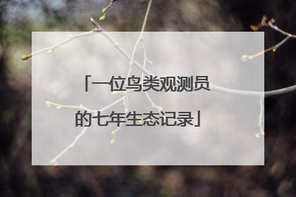 一位鸟类观测员的七年生态记录