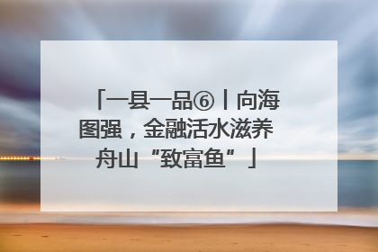 一县一品⑥丨向海图强，金融活水滋养舟山“致富鱼”