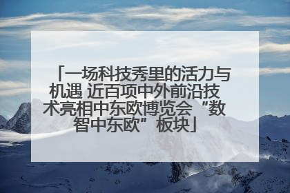 一场科技秀里的活力与机遇 近百项中外前沿技术亮相中东欧博览会“数智中东欧”板块