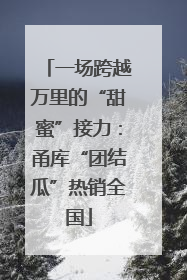 一场跨越万里的“甜蜜”接力：甬库“团结瓜”热销全国