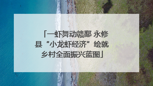 一虾舞动赣鄱 永修县“小龙虾经济”绘就乡村全面振兴蓝图