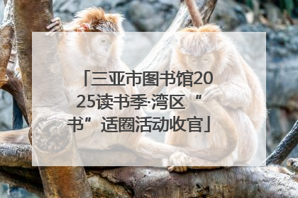 三亚市图书馆2025读书季·湾区“书”适圈活动收官