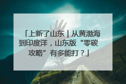 上新了山东｜从黄渤海到印度洋，山东版“零碳攻略”有多能打？