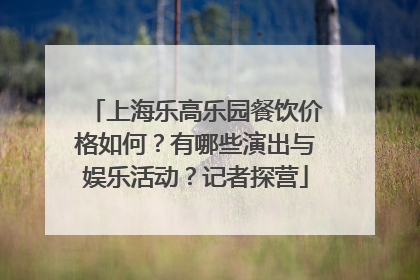 上海乐高乐园餐饮价格如何？有哪些演出与娱乐活动？记者探营